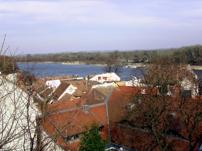 20110313 144556.jpg